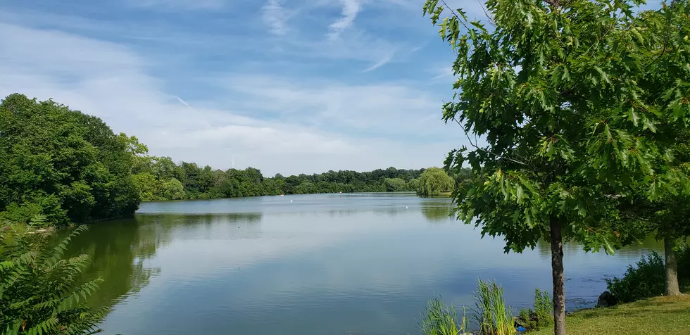 Do You Like These New Ideas For The Scajaquada Corridor In Buffalo?