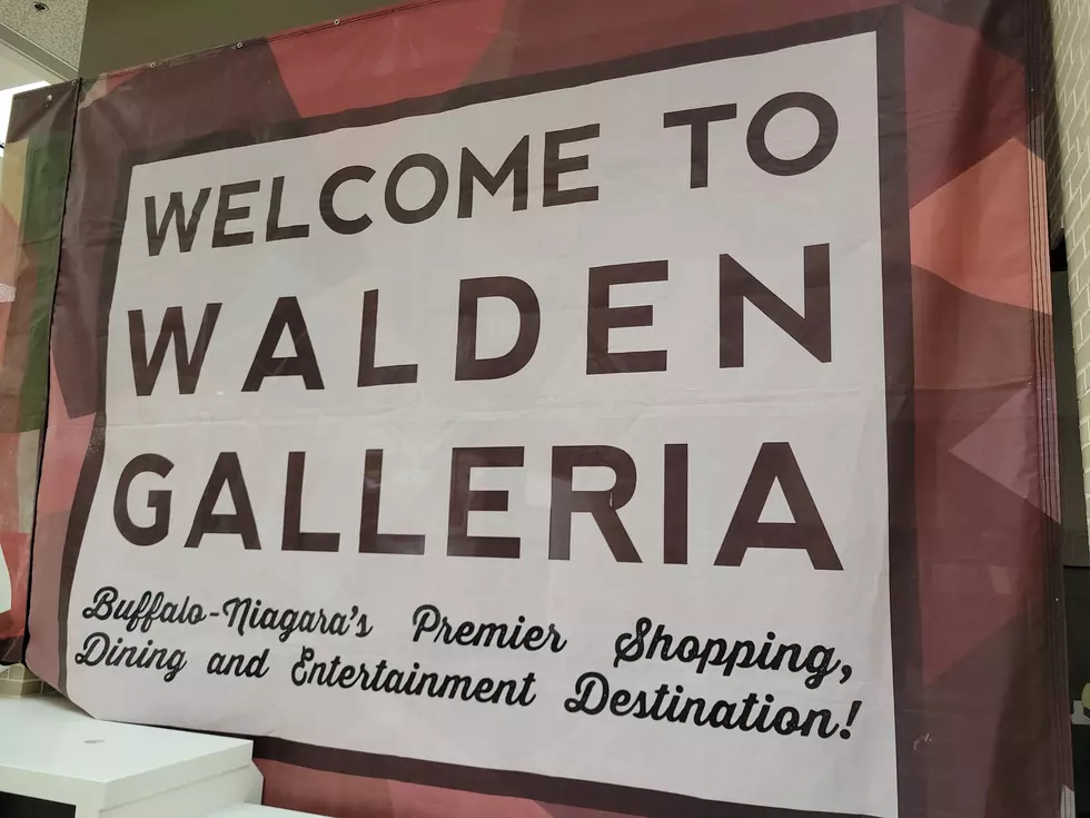 Here Are 7 Fun Things To Do At The Walden Galleria, Other Than Shopping