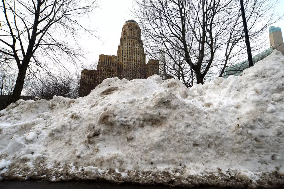 Final Blizzard Snowfall Totals