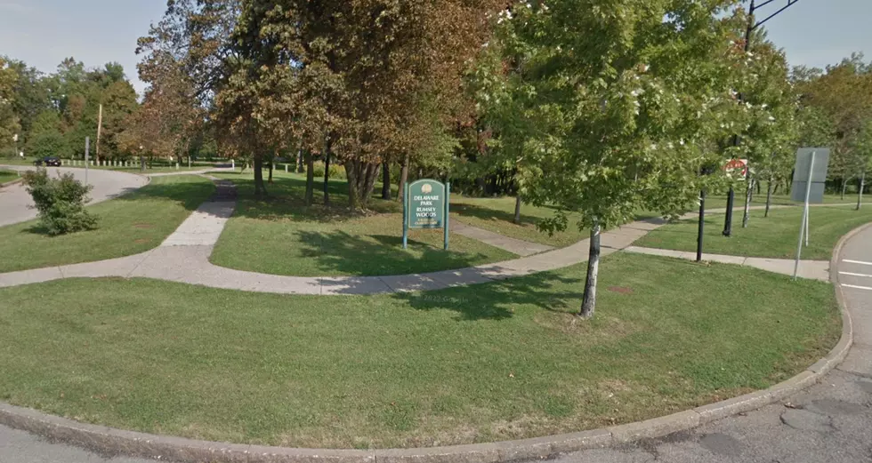Should City Parks Be Available To Buffalo Residents Only?