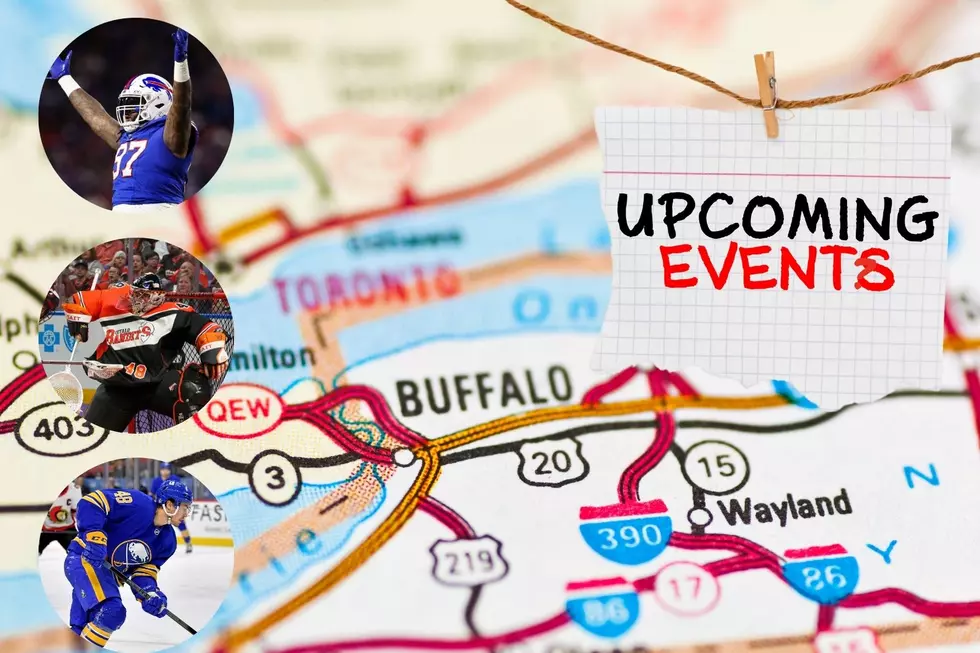 Top Weekend Events For Jan 10-12 In Buffalo and Western New York