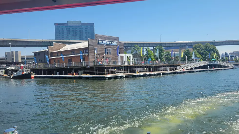 9 Fun And Exciting Outdoor Things To Do In Buffalo