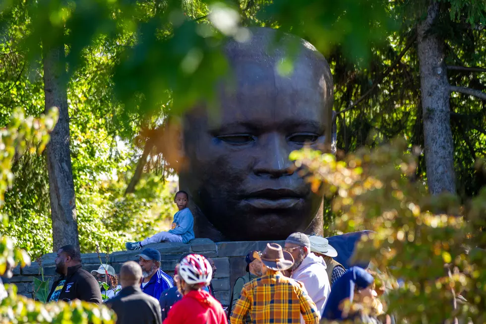 Black Men Gathered In MLK Park For Unity And Progress