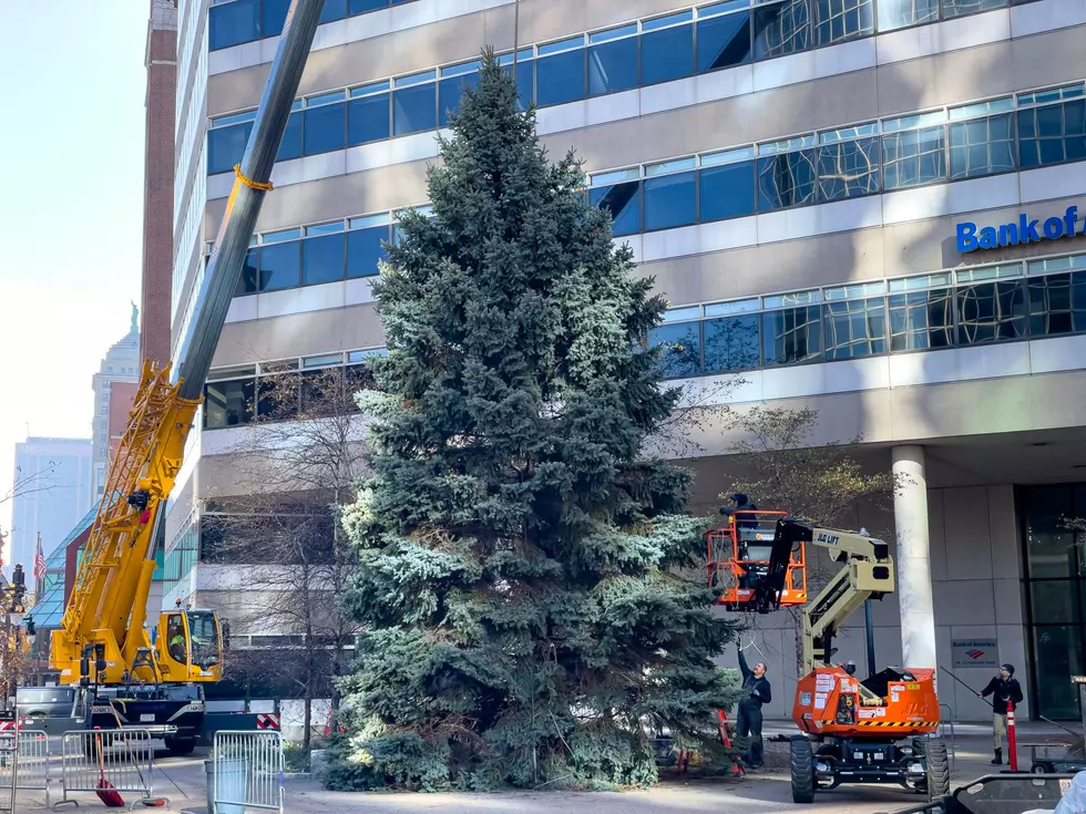 Join The Joyful Holiday Fun At Fountain Plaza
