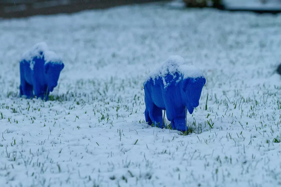 Buffalo Finally Sees Its First Snow Of The 2025 Winter Season