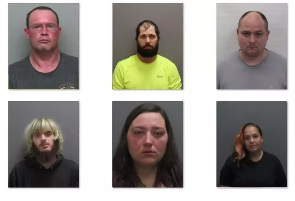 15 Registered Animal Abusers In Chautauqua County