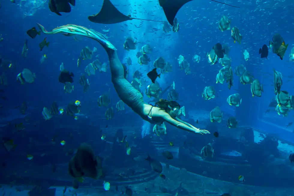 Lost City of Atlantis Found?