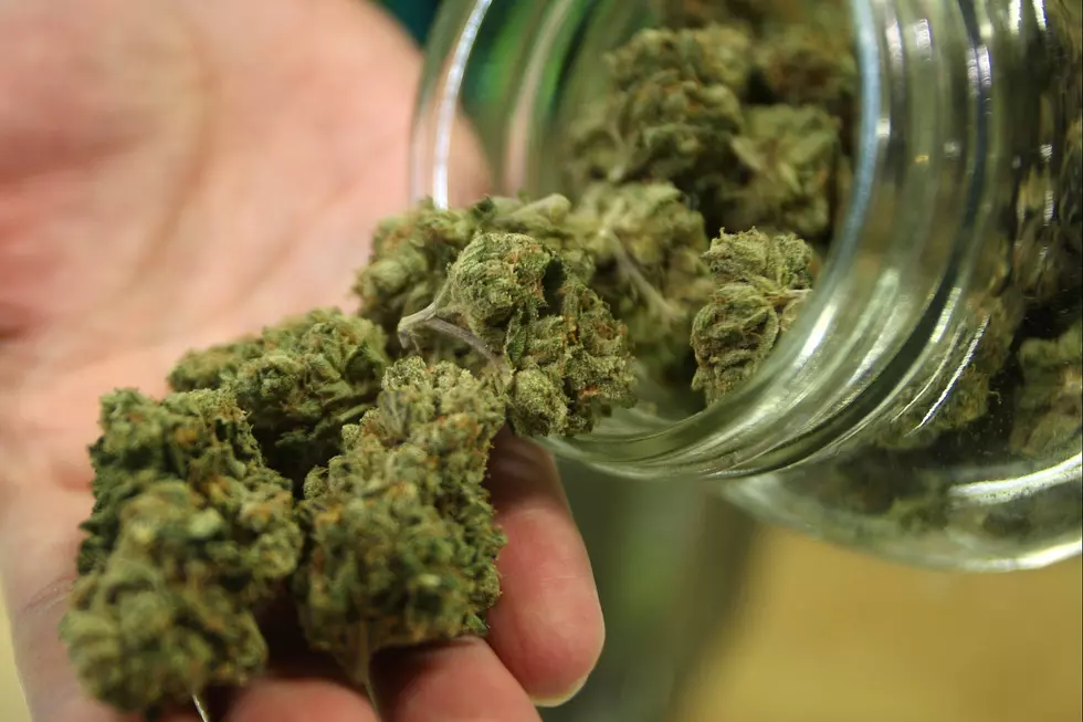 Buffalo Marijuana Site Has New Hope Now That It Is Legal